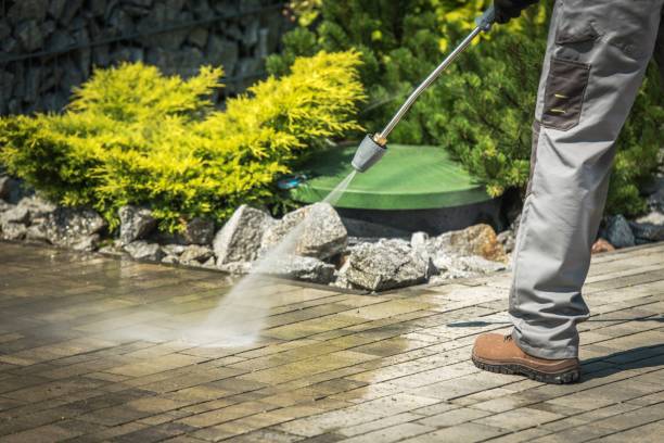 Best Roof Washing  in Pine Ridge, FL